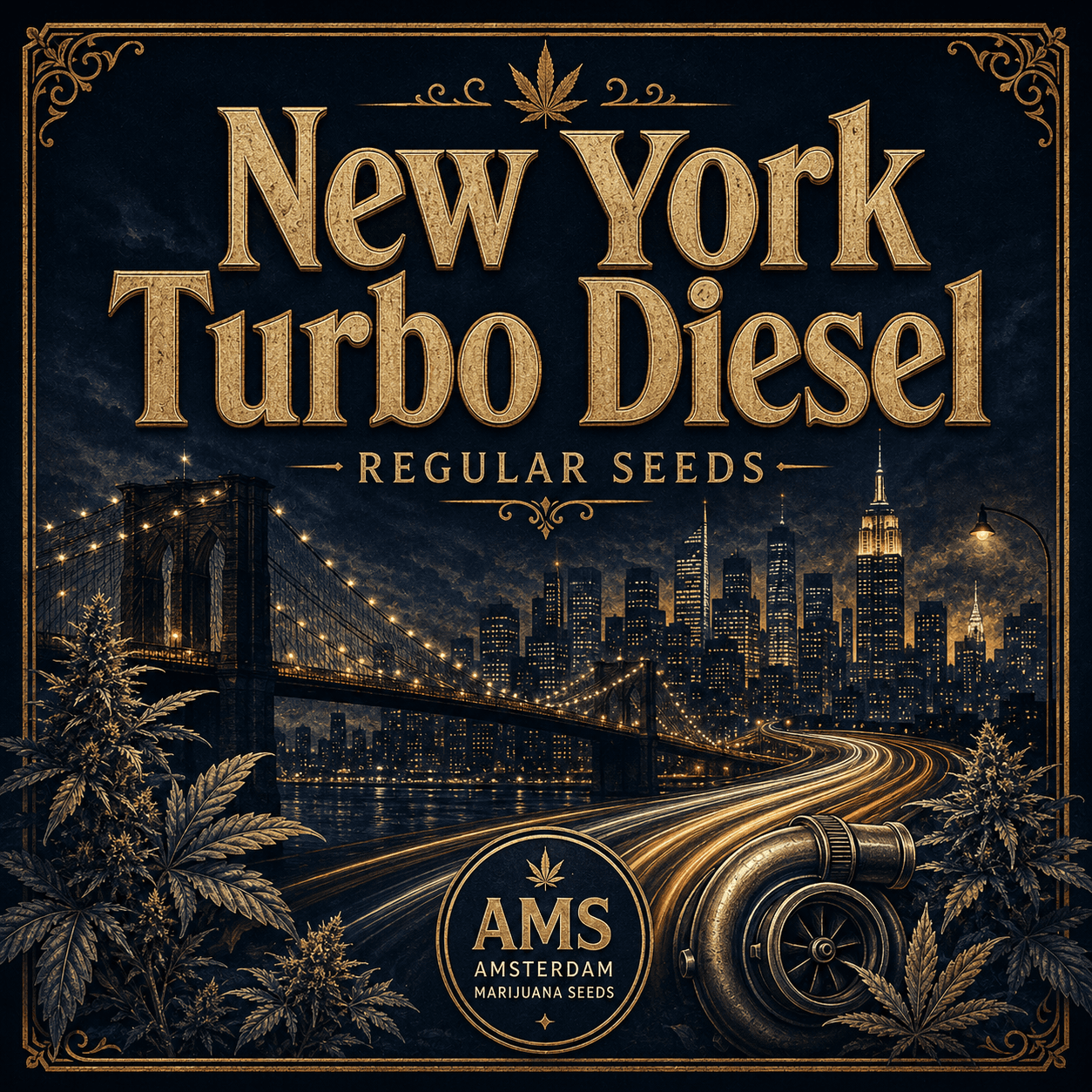 Graines régulières New York Turbo Diesel - photo 3