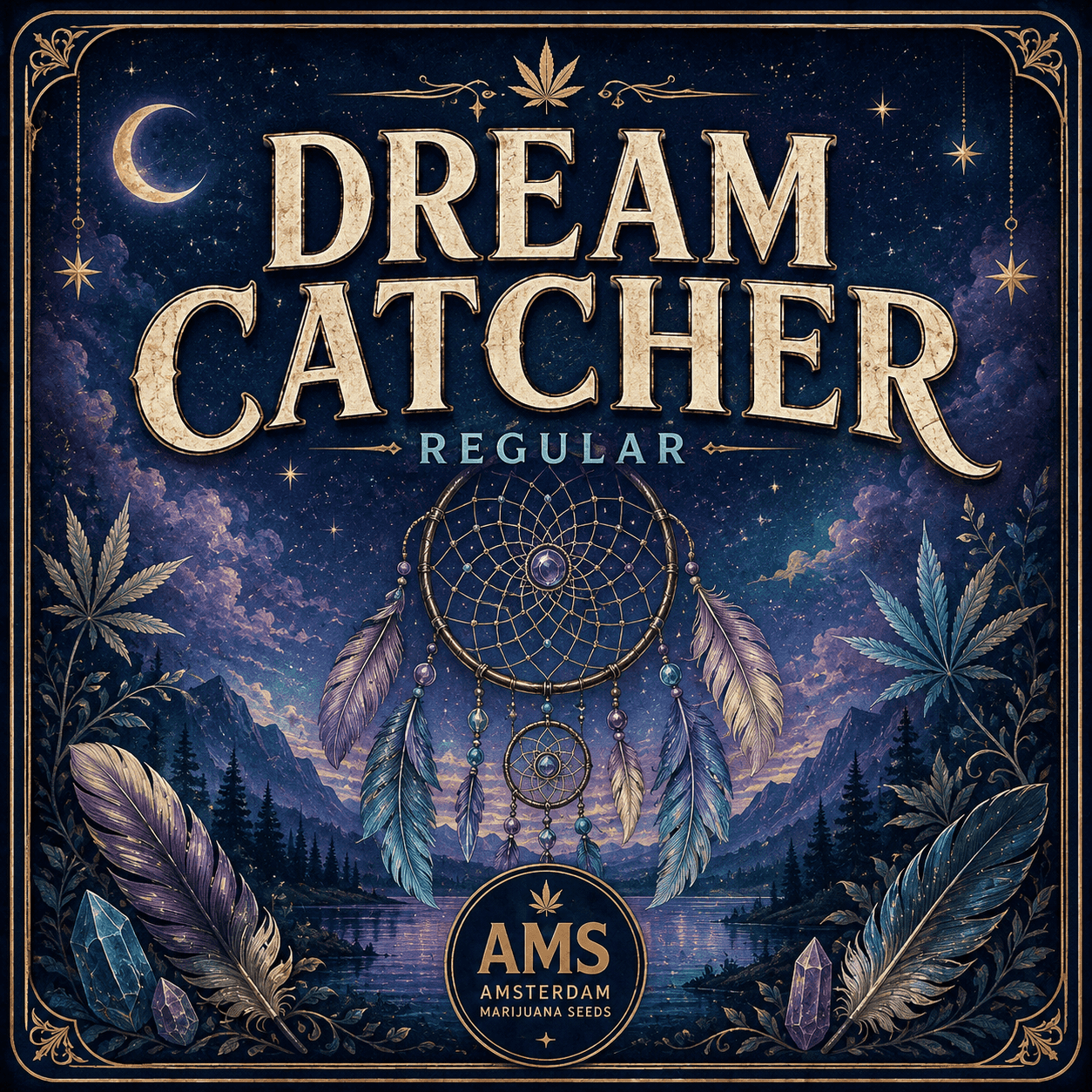 Graines régulières Dream Catcher