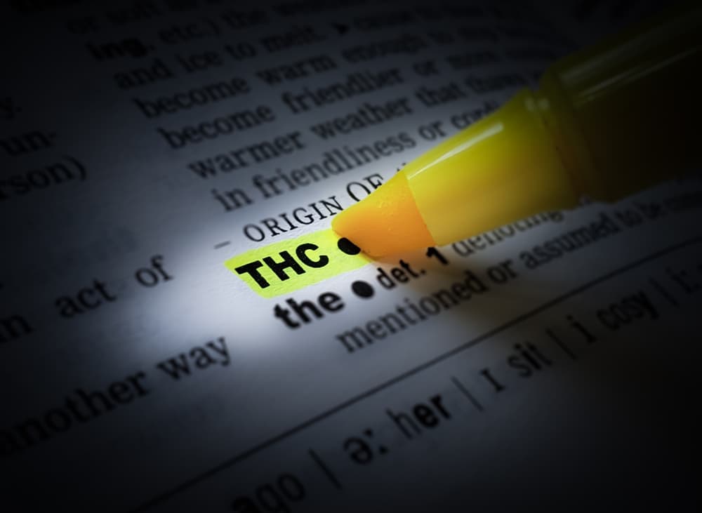 ¡Conoce tus palabras sobre marihuana y amplía tu vocabulario!