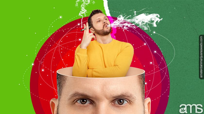 Does weed help you focus, and how does it work?