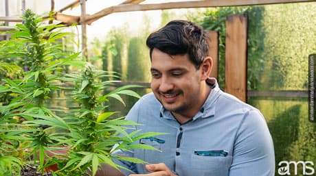 Climate control: indoor, outdoor, and greenhouse