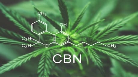 What is Cannabinol and what are its effects?