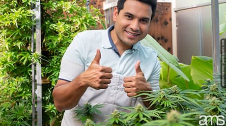 Manage Pest and Diseases in a Greenhouse