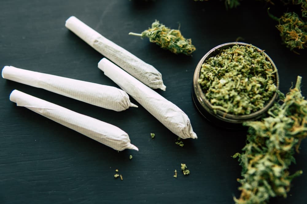 Basic facts about marijuana