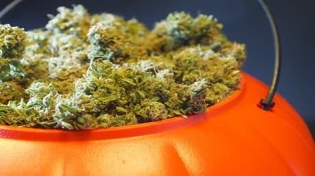 Halloween Join on a trick-or-toke night