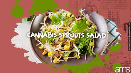 Ensalada de brotes de marihuana con aderezo de CBD