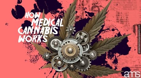 Medical Cannabis: What science says