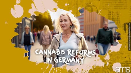 Homecoming Hues: A German Argentine Explores Cannabis Reforms in Germany