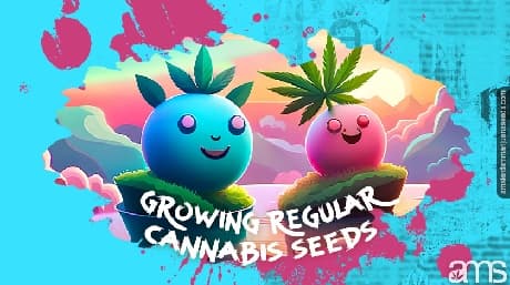 Les avantages et les inconvénients de la culture de graines de cannabis régulières