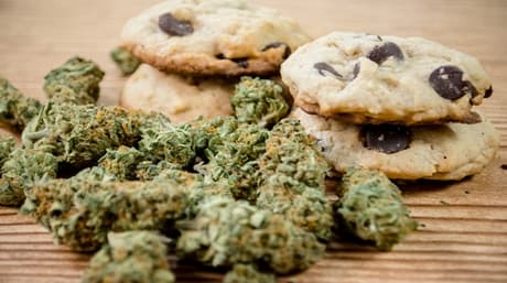 Munchies – How cannabis affects appetite