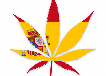Medicinal Cannabis in Spain