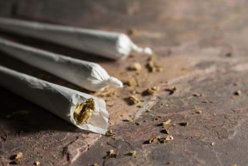 The Difference Between Joints, Blunts and Spliffs