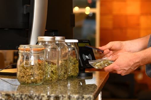 Master the Art of Curing Cannabis Buds