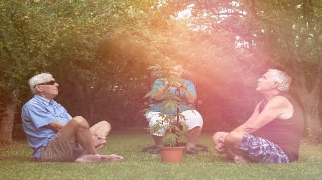 Medical cannabis, live changing for the Hibbing family