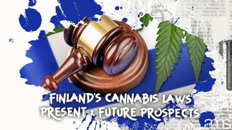 Finland’s Cannabis Laws: Current Status & Future Possibilities