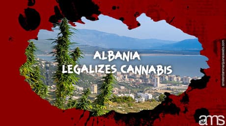 Cannabis Legalisation for Medical and Industrial Use in Albania