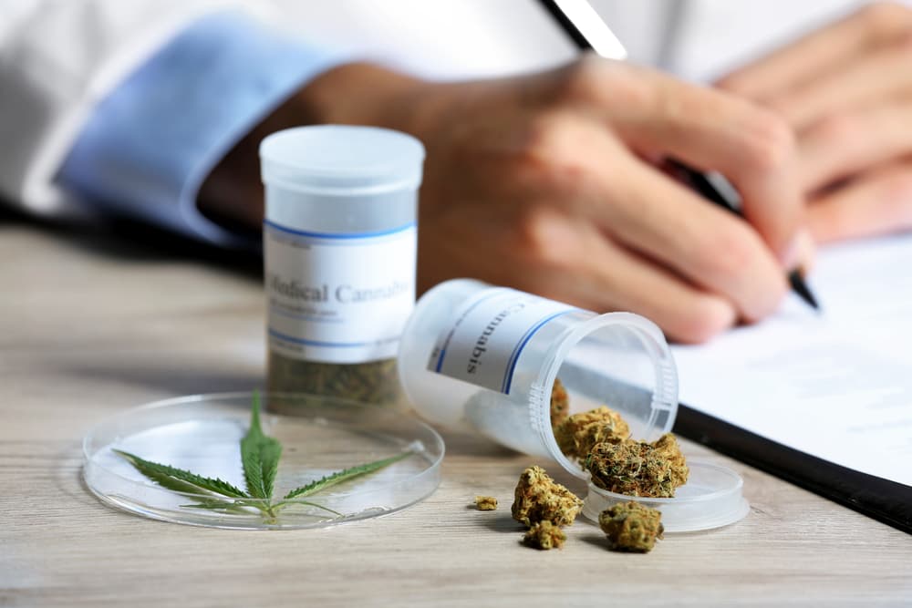 CBD – The uses of medical cannabis oil