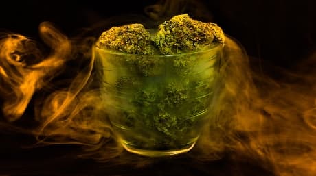 Cannabis and Dizziness