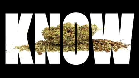 Doubtful about dabbing? What you should know!