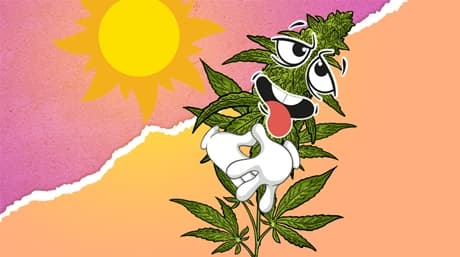 ¿Cuánta agua necesita una planta de cannabis?