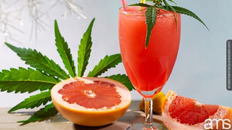 Bebidas y comestibles con infusión de cannabis
