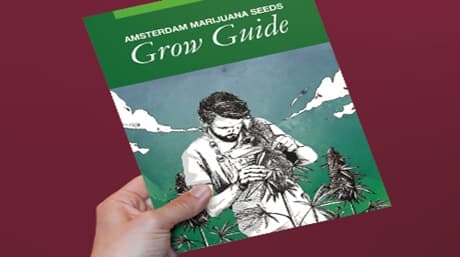 Marijuana Grow Guide: Chapters 1-4
