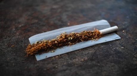 De 20 bästa olika typerna av rullpapper