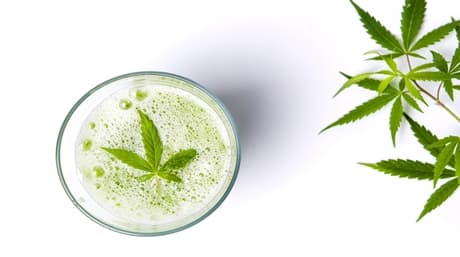 La mejor receta de batido de cáñamo de AMS