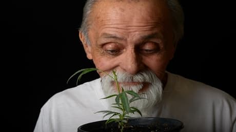 10 Reasons to Grow Your Own Cannabis