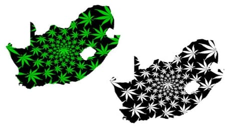 South Africa will legalize medicinal marijuana in 2017