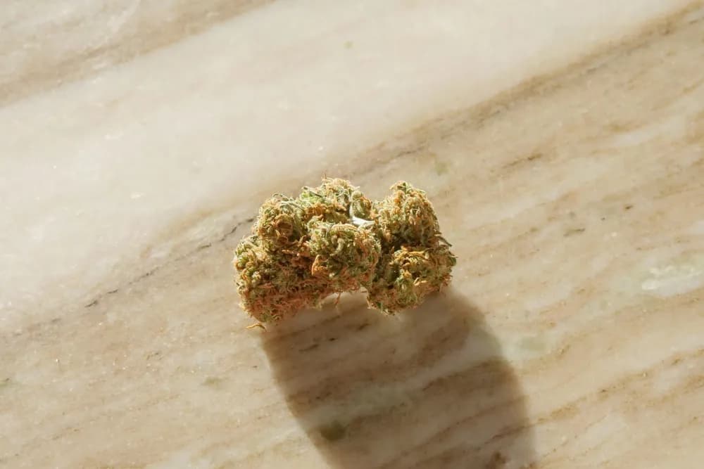 Marijuana Caviar vs Marijuana Moonrocks