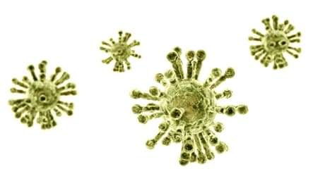 Weed and the Corona Virus