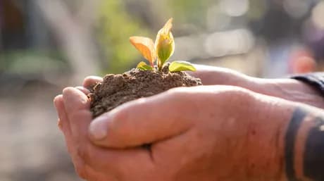 Leer meer over de beste grond voor autoflowers