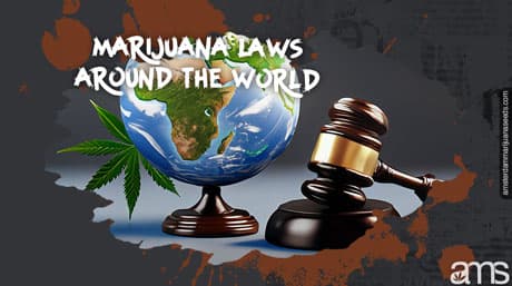 Marijuana Laws Around the World