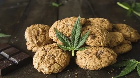 10 Cannabisrecept att göra hemma