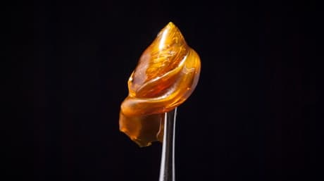 Concentrés de cannabis