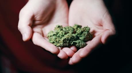 10 consejos sobre cómo fumar marihuana por primera vez