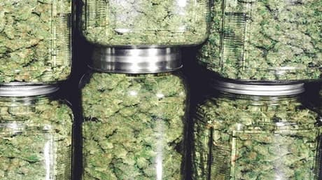 Soluciones de almacenamiento de cannabis a prueba de olores