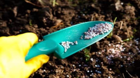 Nutrients cannabis plants need and when?