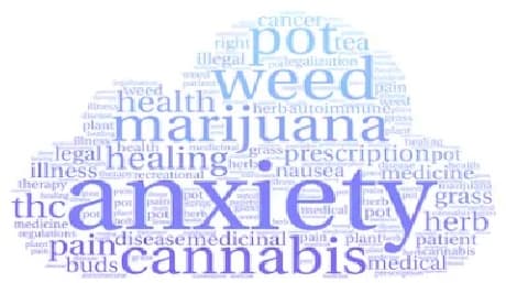 Cannabis can be used to treat anxiety