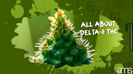 All About Delta-8 THC: Is It Worth The Hype?