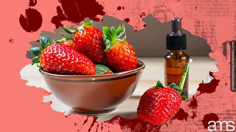 Conservar frutas frescas para una vida útil más larga con recubrimientos de CBD