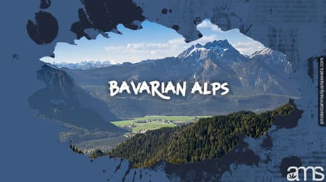 The German Cannabis Revolution Unfolding