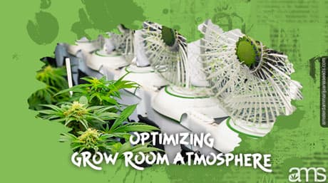Optimering av tillväxtrumsatmosfär: betydelsen av ventilation för cannabis
