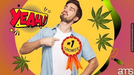 Discover the Top 15 Reasons Why You Should Grow Your Own Weed