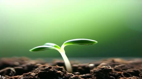 Different germination methods and techniques