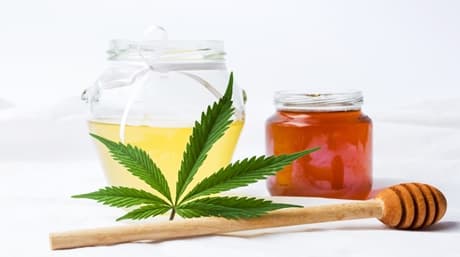Training Bees to Make Cannahoney