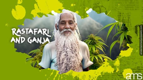 Rastafari and Ganja: The Wisdom Weed