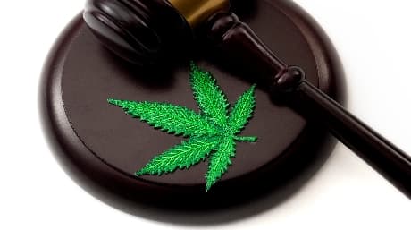 Israel Regulate and Decriminalize Cannabis