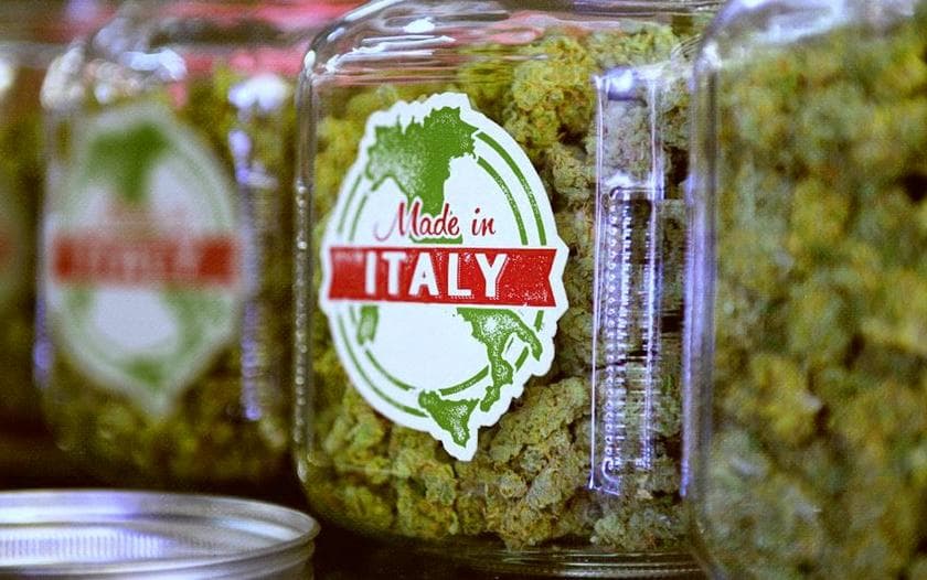 Legislation of Cannabis in Italy